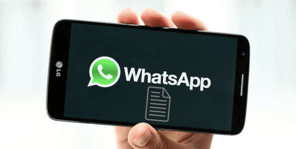 Whatsapp document support
