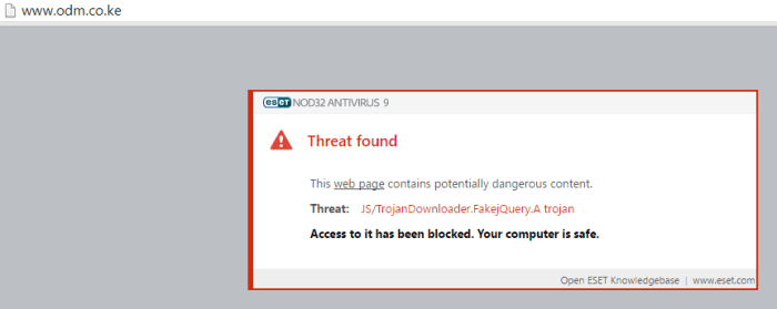 ESET prevented access to the website 