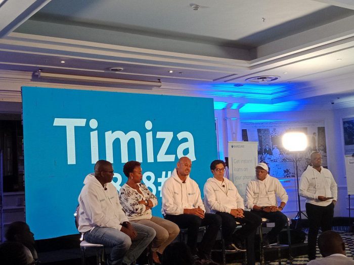 Timiza App Team