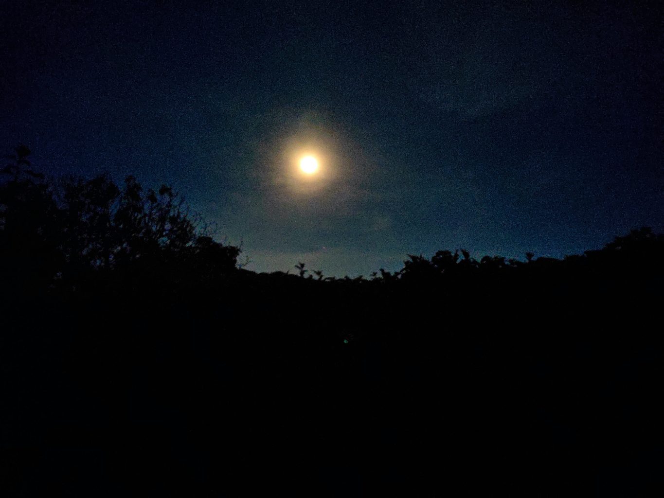 Vivo V17 Pro low light 5