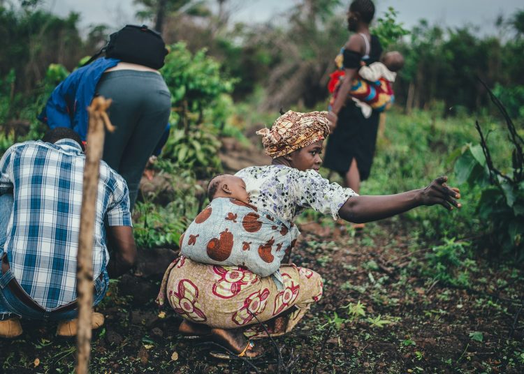 Digital loans and banks main source of credit for farmers