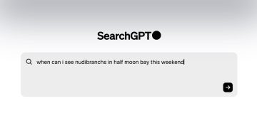 SearchGPT OpenAI