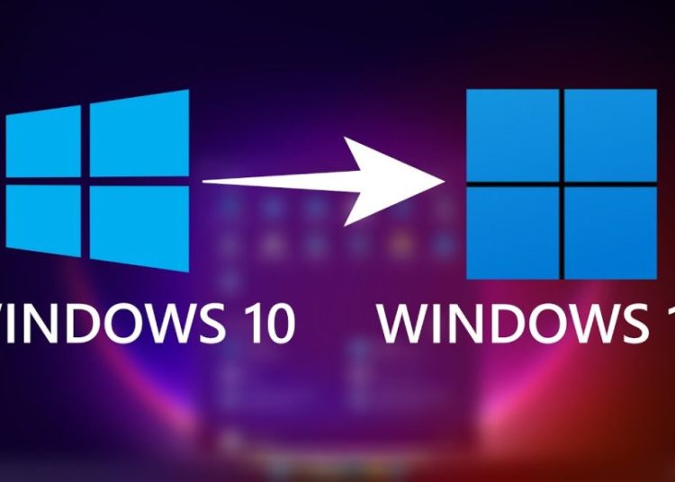 windows 11