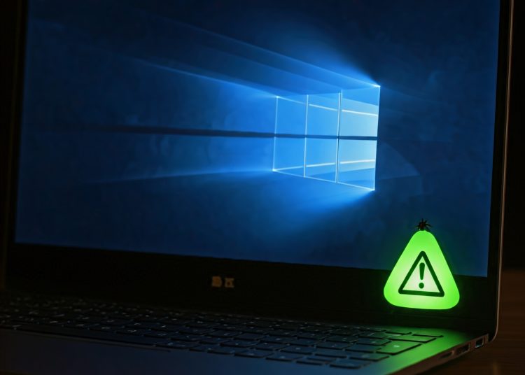 Windows 11 bug
