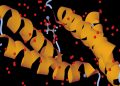 Nobel Prize in Chemistry goes to scientists who used AI to decode proteins.