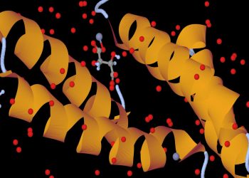 Nobel Prize in Chemistry goes to scientists who used AI to decode proteins.