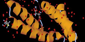 Nobel Prize in Chemistry goes to scientists who used AI to decode proteins.