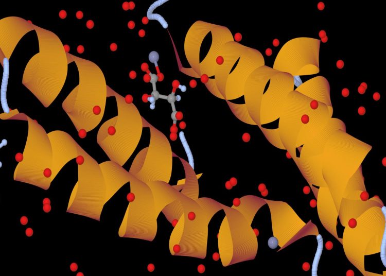 Nobel Prize in Chemistry goes to scientists who used AI to decode proteins.
