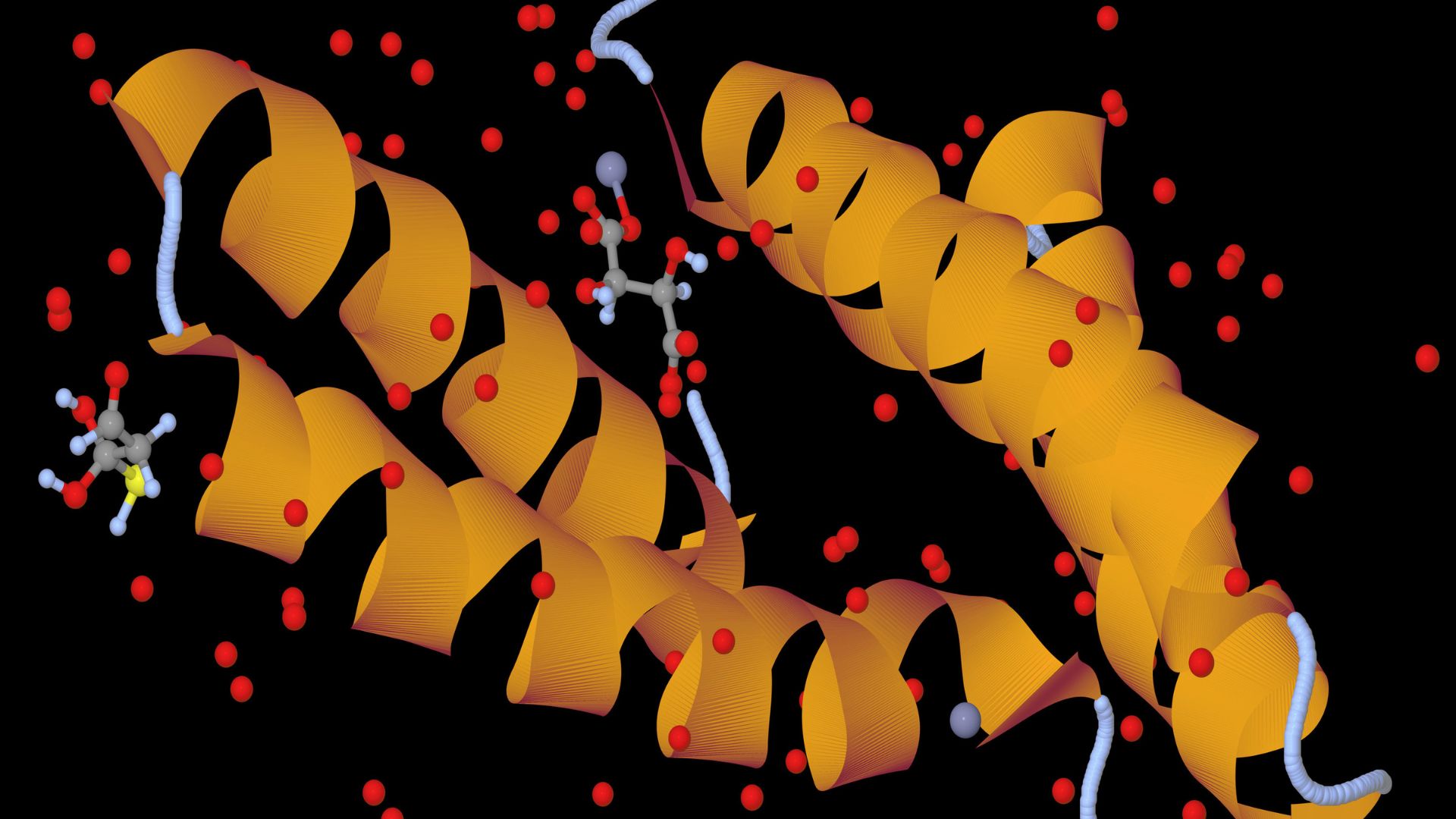 Nobel Prize in Chemistry Goes to Scientists Who Used AI to Decode Proteins