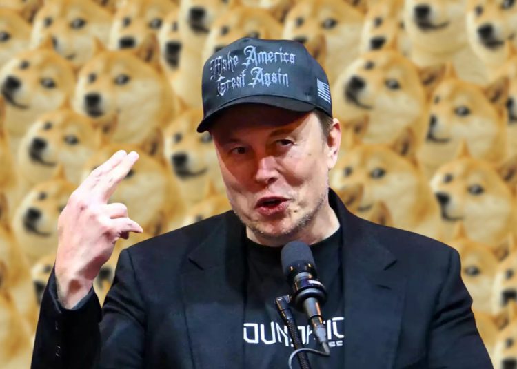 Elon Musk Joins Trump’s New DOGE Squad to Curb Government Spending