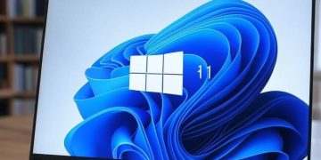 Windows 11