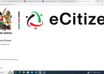 eCitizen Payment Service Unavailable