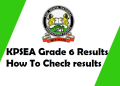 KPSEA results