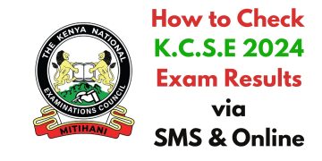 KCSE 2024 Exam Results