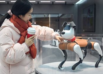 A woman checking an AI pet dog at a store.