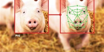 AI decoding animal