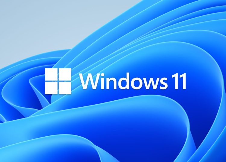 Windws 11