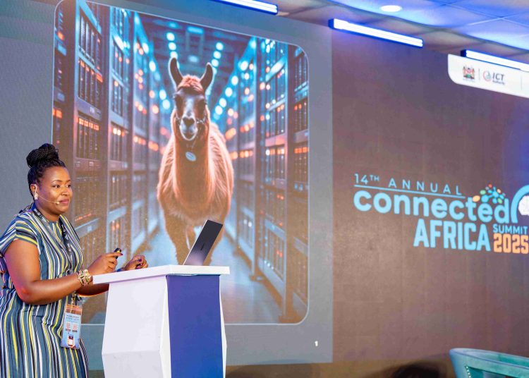 ConnectedAfrica2025(Day4)-meta-foondamate