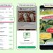 whatsapp meta ads