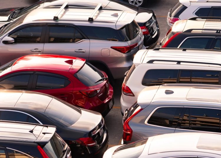 Cars in port awaiting clearing