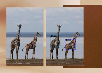 Microsoft AI for Good Lab tool GIRAFFE