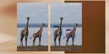 Microsoft AI for Good Lab tool GIRAFFE