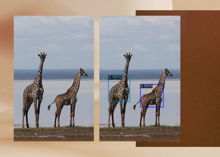 Microsoft AI for Good Lab tool GIRAFFE