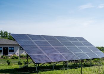 Solar panels in a field.