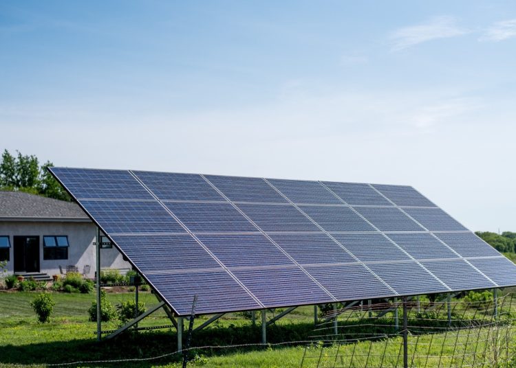 Solar panels in a field.