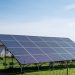 Solar panels in a field.