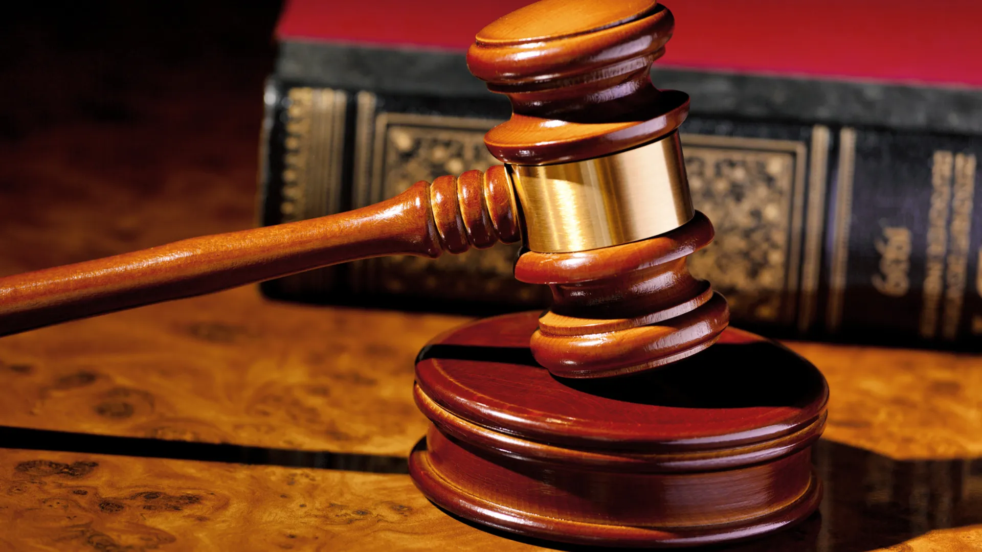 High Court Blocks Paradigm Initiative from Joining X Data Case