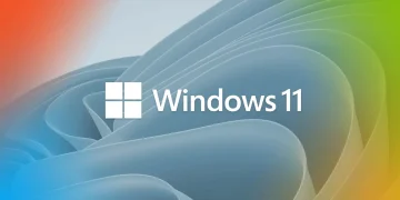 Windows 11