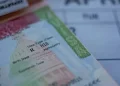 H-1B Visa