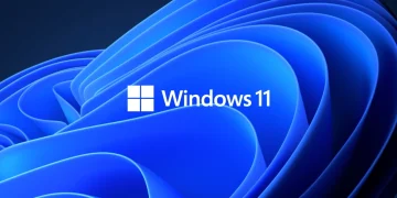 Windows 11