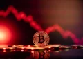 crypto crash