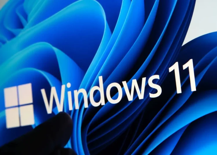 Windows 11