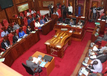 Senate Bill Seeks to End IEBC Polling Station Livestreams for 2027 Elections