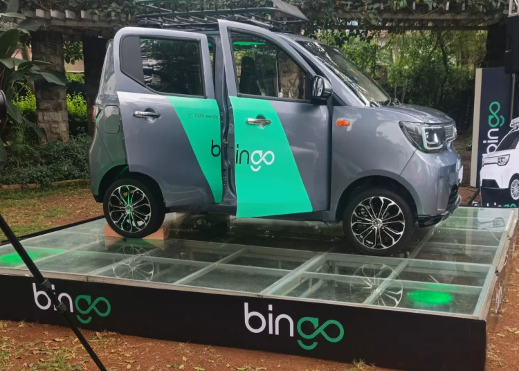 Bingo E2