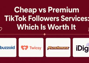 Cheap vs Premium TikTok Followers: Which Is Worth It