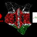 High Court Declares Safaricom Stake Sale to Vodacom Unlawful