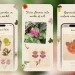 Meet Pressed Petals: A Botanical Journal App